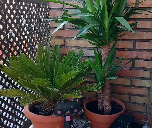 아파트 Albolafia Junto Puente