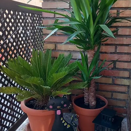 Apartman Albolafia Junto Puente